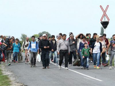 Permalink to:The long year of migration and the Balkan corridor